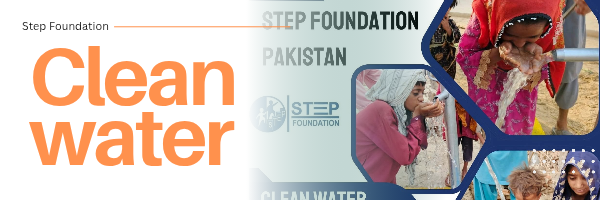 clean water step foundation
